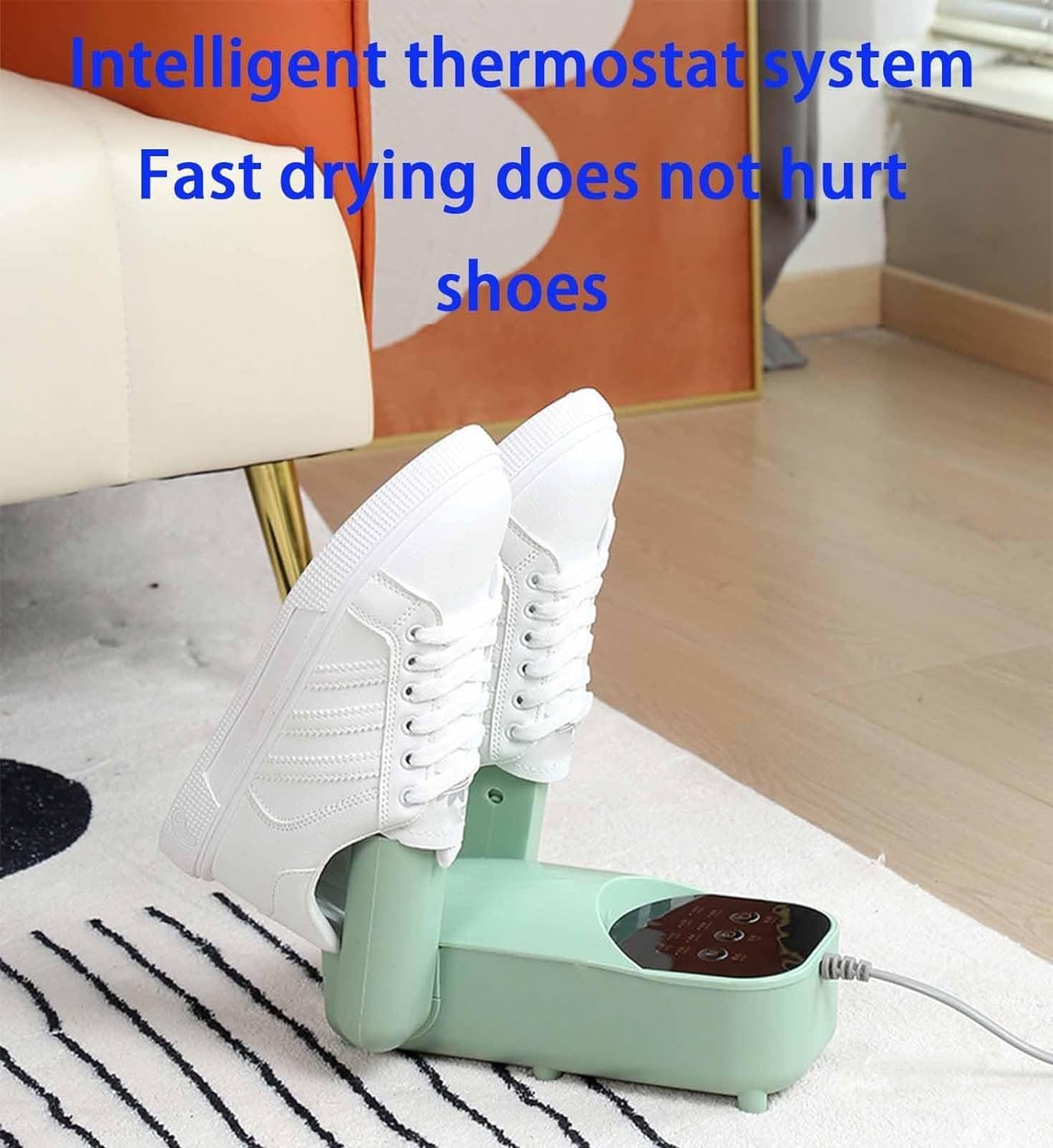 Electric Shoe Dryer, Smart Shoe Care Dryer