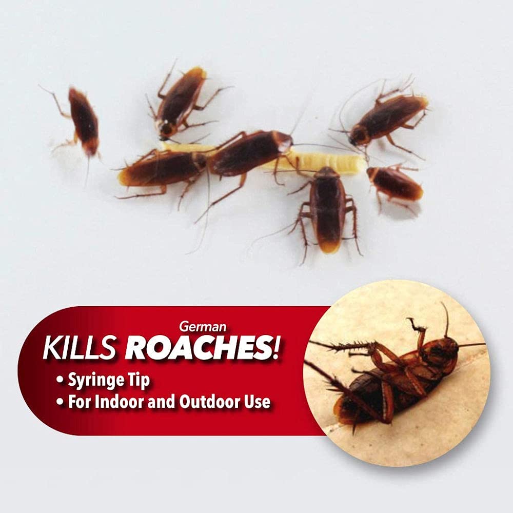 Cockroach Killer , Cockroach Killing Gel happyhome