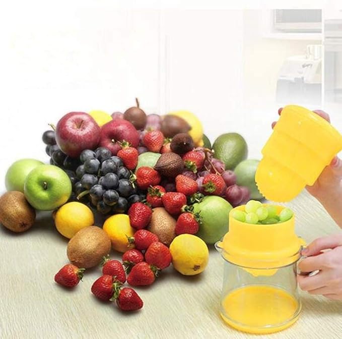 Mini Manual Juicer, Juice Extractor happyhome