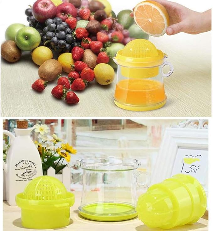 Mini Manual Juicer, Juice Extractor happyhome